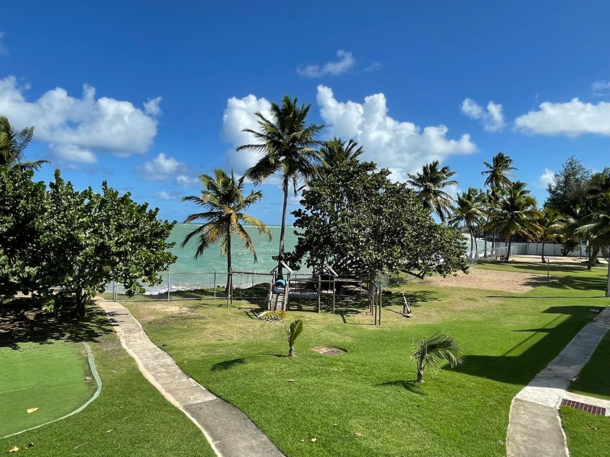 Costa Mar Beach Front Apartment Whith Pool Loiza Eksteriør bilde
