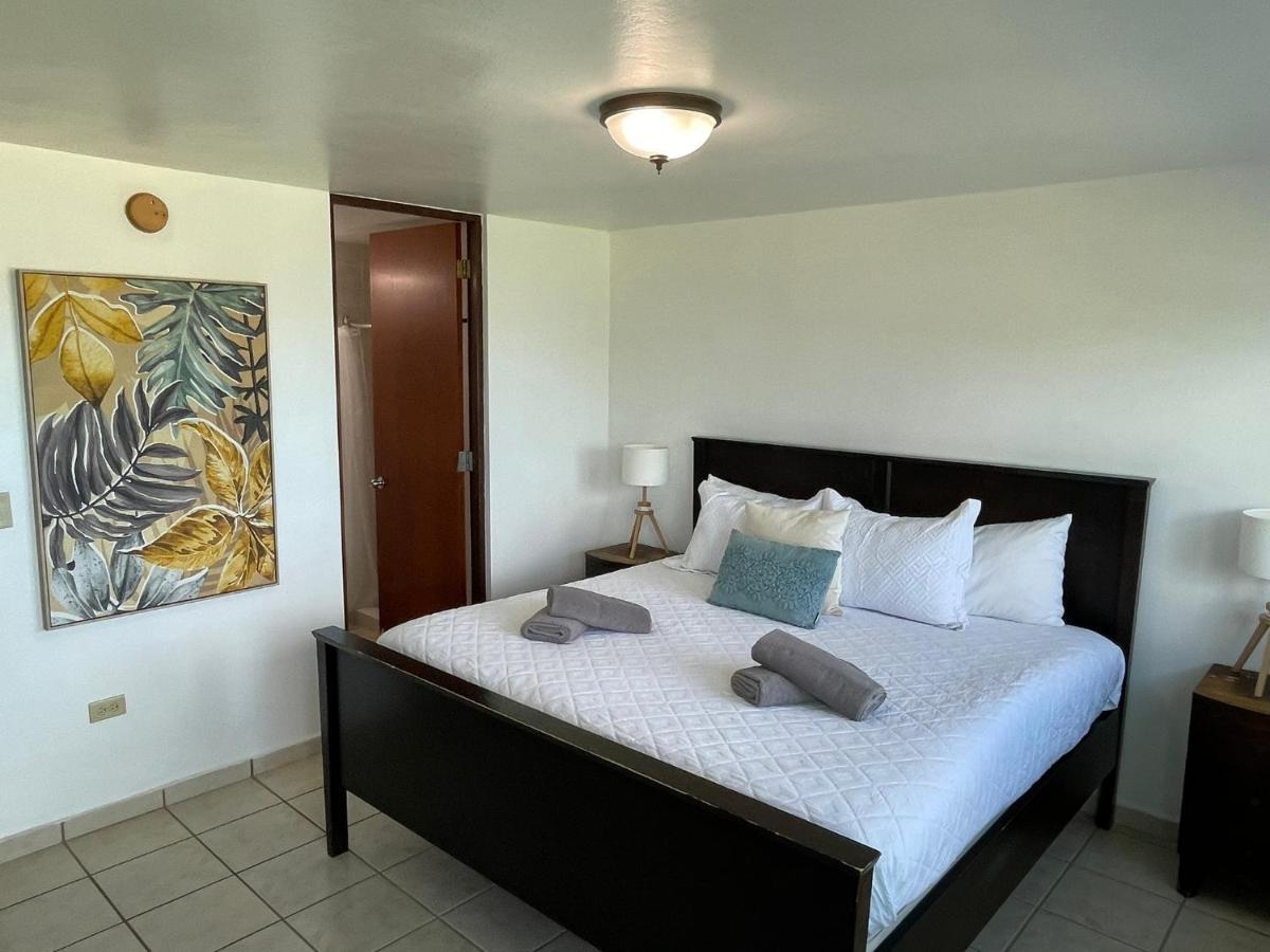 Costa Mar Beach Front Apartment Whith Pool Loiza Eksteriør bilde